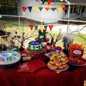 Camping themed Birthday Party